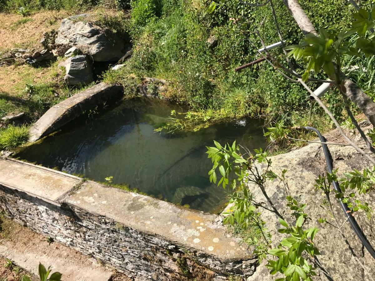 Maison De Charme Corse Sauvage Pietra-di-Verde Bagian luar foto