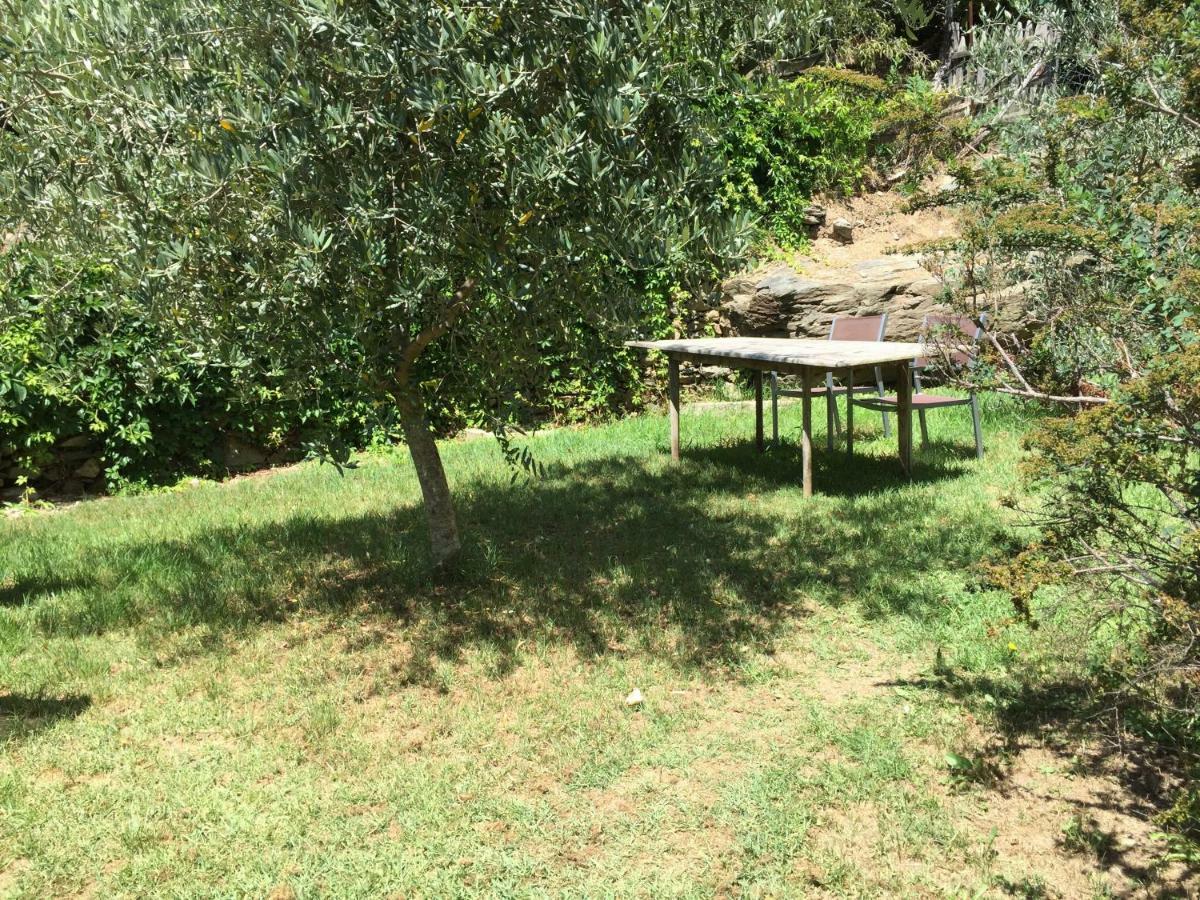 Maison De Charme Corse Sauvage Pietra-di-Verde Bagian luar foto