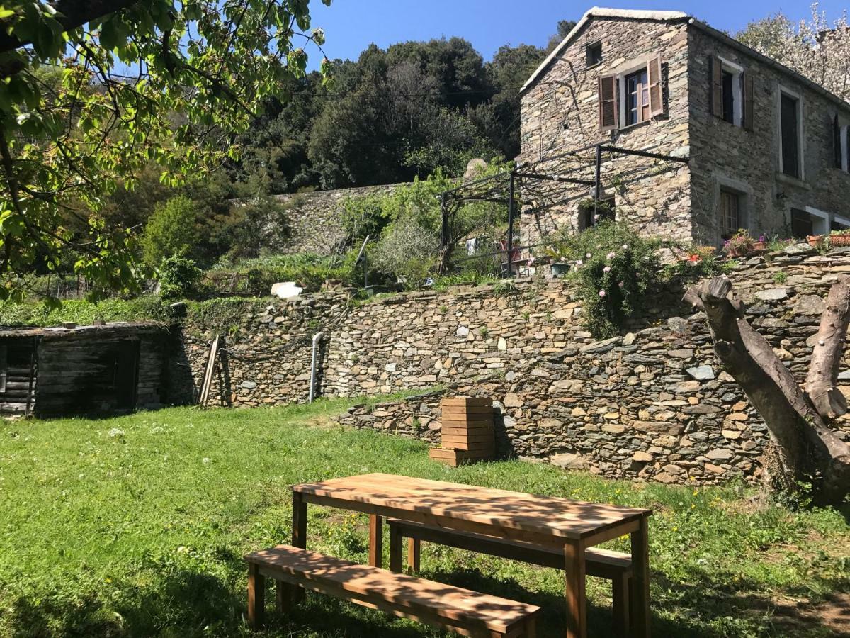 Maison De Charme Corse Sauvage Pietra-di-Verde Bagian luar foto